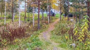 A forested area with a dirt path leading to a small building.
