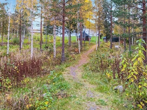 A forested area with a dirt path leading to a small building.