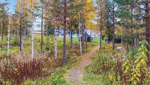 A forested area with a dirt path leading to a small building. - Niementalo 2 by Interhome (Kinnula)