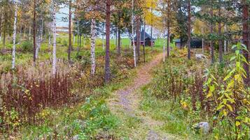 Área da propriedade