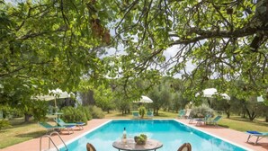 Ein rechteckiger Swimmingpool mit gefliestem Sonnendeck, umgeben von Liegestühlen und Sonnenschirmen, eingebettet in einen üppigen Garten mit Bäumen und viel Grün.