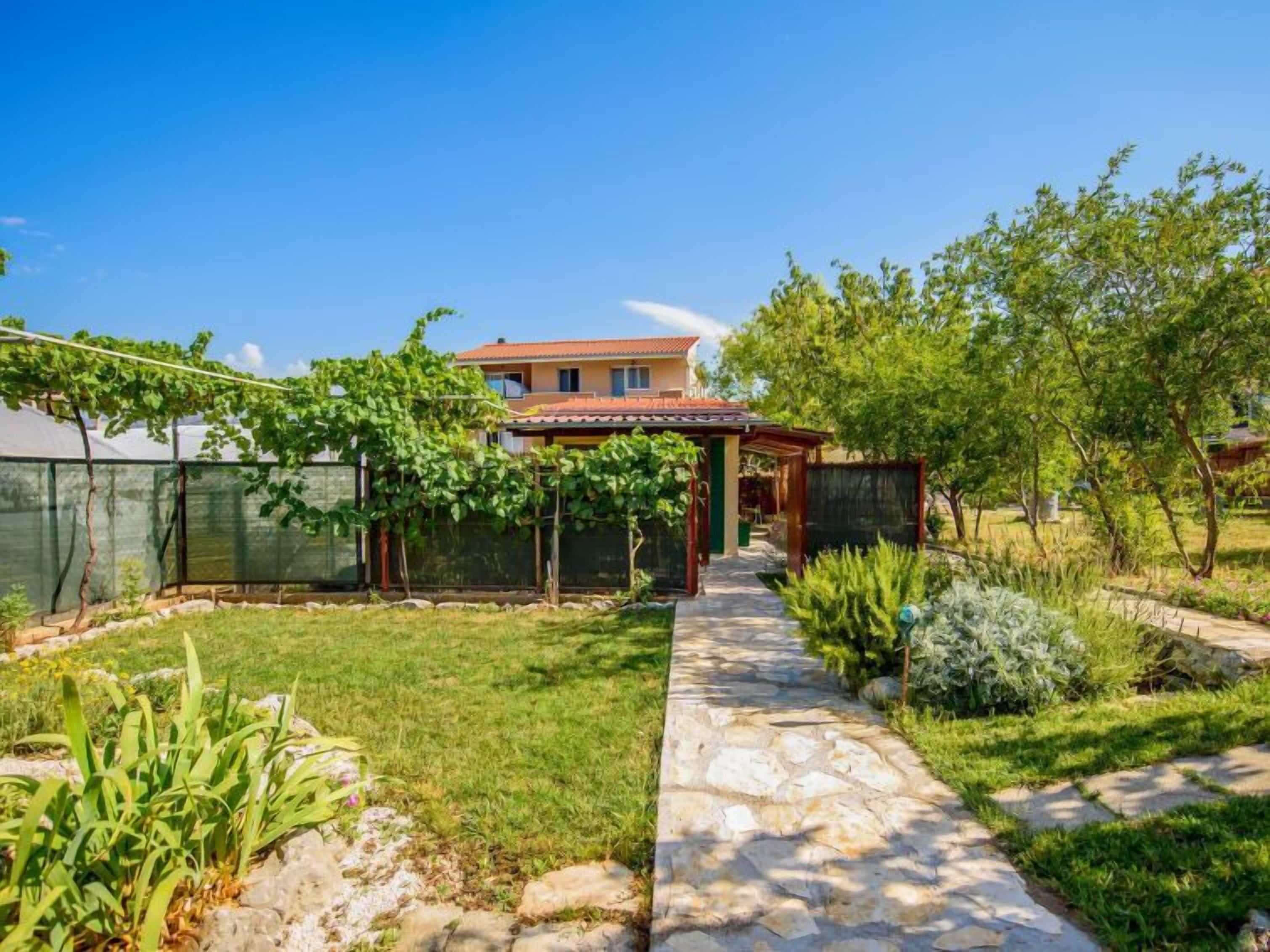 A garden pathway leading to a house with a pergola and a greenhouse.
