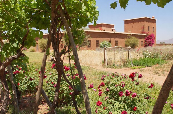 Áreas de la propiedad