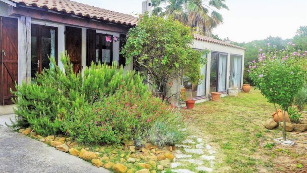 Une maison avec un toit en tuiles, une véranda et un jardin où poussent différentes plantes, ainsi qu’un palmier.