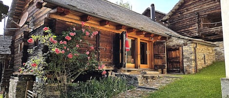 Extérieur