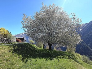 Ulkoalueet