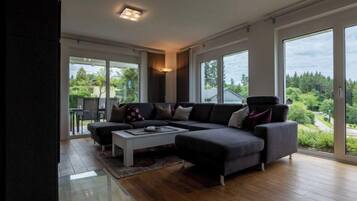 TV, fireplace, DVD player