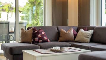 TV, fireplace, DVD player