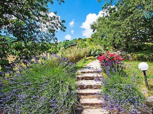 Papavero by Interhome