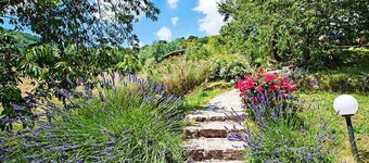 Papavero by Interhome