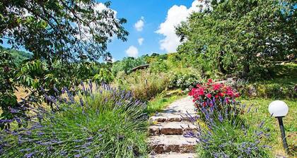 Papavero by Interhome