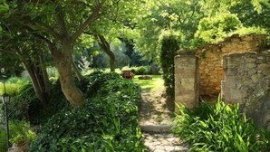 A stone pathway leading through a lush garden with dense foliage and a rustic stone wall on one side. - Vacation home Oasis by Interhome (Penna in Teverina)