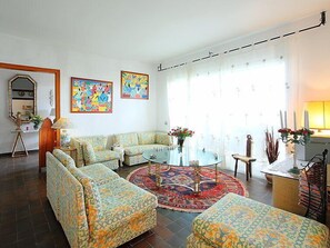 电视、壁炉、DVD 播放器