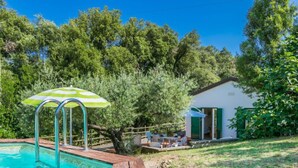 Una piscina con un pontile in legno, una casetta con una porta verde e un albero sullo sfondo.