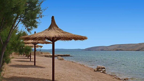 Une plage bordée de parasols en chaume et de pins, un ciel dégagé et une eau calme.