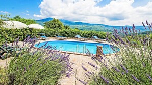 A pool area with lounge chairs and umbrellas, surrounded by lavender plants and a view of mountains. - Agriturismo Antee by Interhome (Arcidosso)