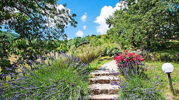 A stone pathway leading through a garden with lavender and red flowers, surrounded by lush greenery and trees. - Agriturismo Antee by Interhome (Arcidosso)