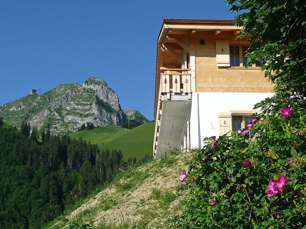Detalle exterior