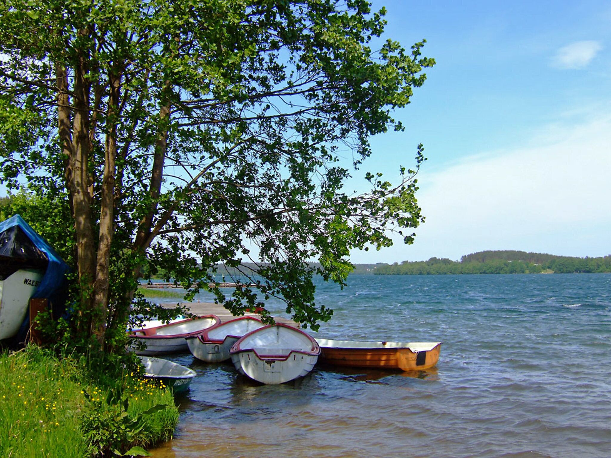 En rolig sø med flere både fortøjet ved bredden, omgivet af træer og en klar himmel.