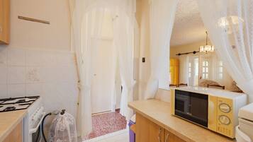 Fridge, microwave, oven, cookware/dishes/utensils