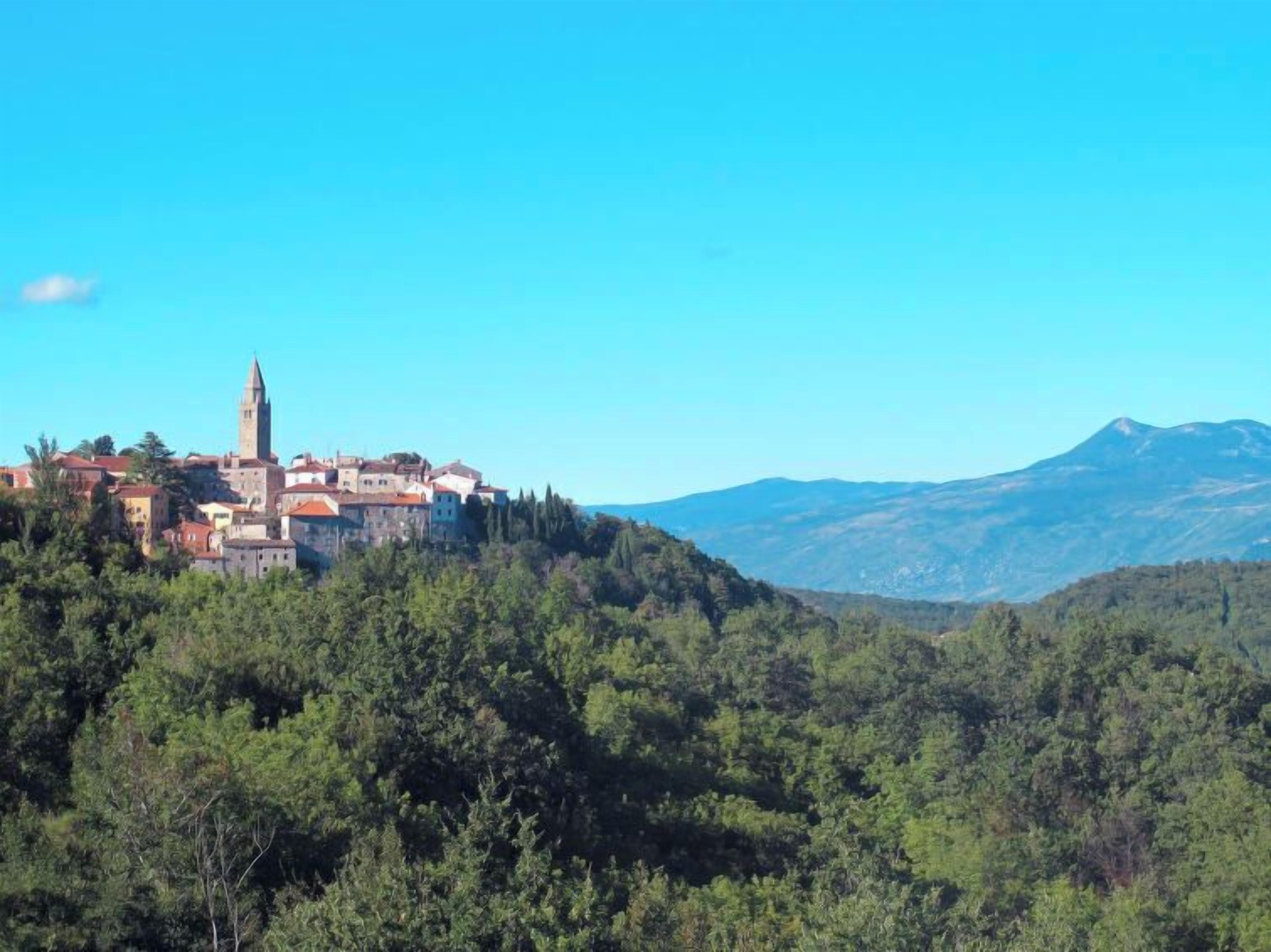 A town with a prominent tower and buildings on a hillside, surrounded by dense forest and mountains in the background.