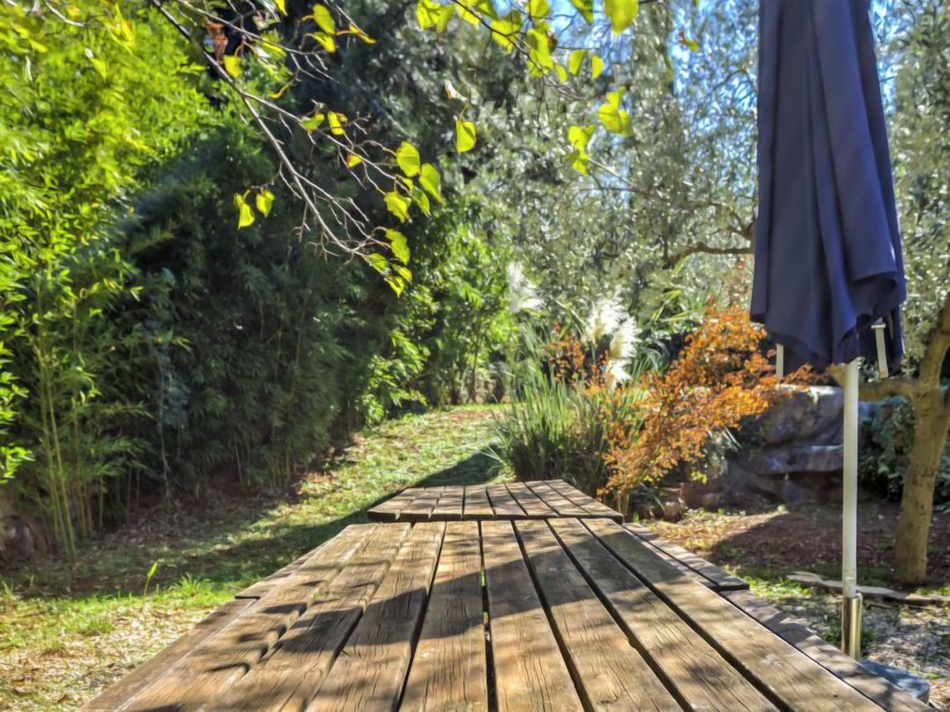 A wooden picnic table in a garden with a blue umbrella, surrounded by greenery and trees.