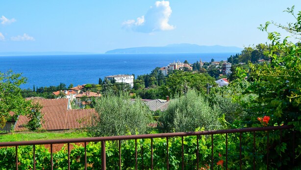 Eine Küstenstadt mit Gebäuden, Weinbergen und weiter Aussicht auf Meer und Berge im Hintergrund.