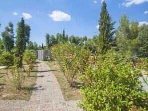 Parco della struttura