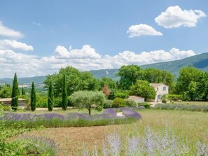 Propiedad campestre con una casa rodeada de vegetación exuberante y campos de lavanda.
