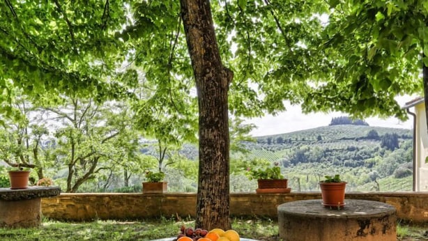 A table with a fruit bowl, surrounded by potted plants and a view of a hilly landscape. - Chiantishire retreat by Interhome (Barberino Valdelsa)