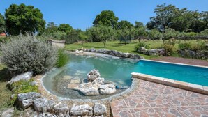 A swimming pool with a stone border, surrounded by a landscaped garden with various plants and trees. - Mario 1 by Interhome (Pula/Krnica)