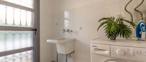 A laundry room with a washing machine, a sink, and a potted plant.