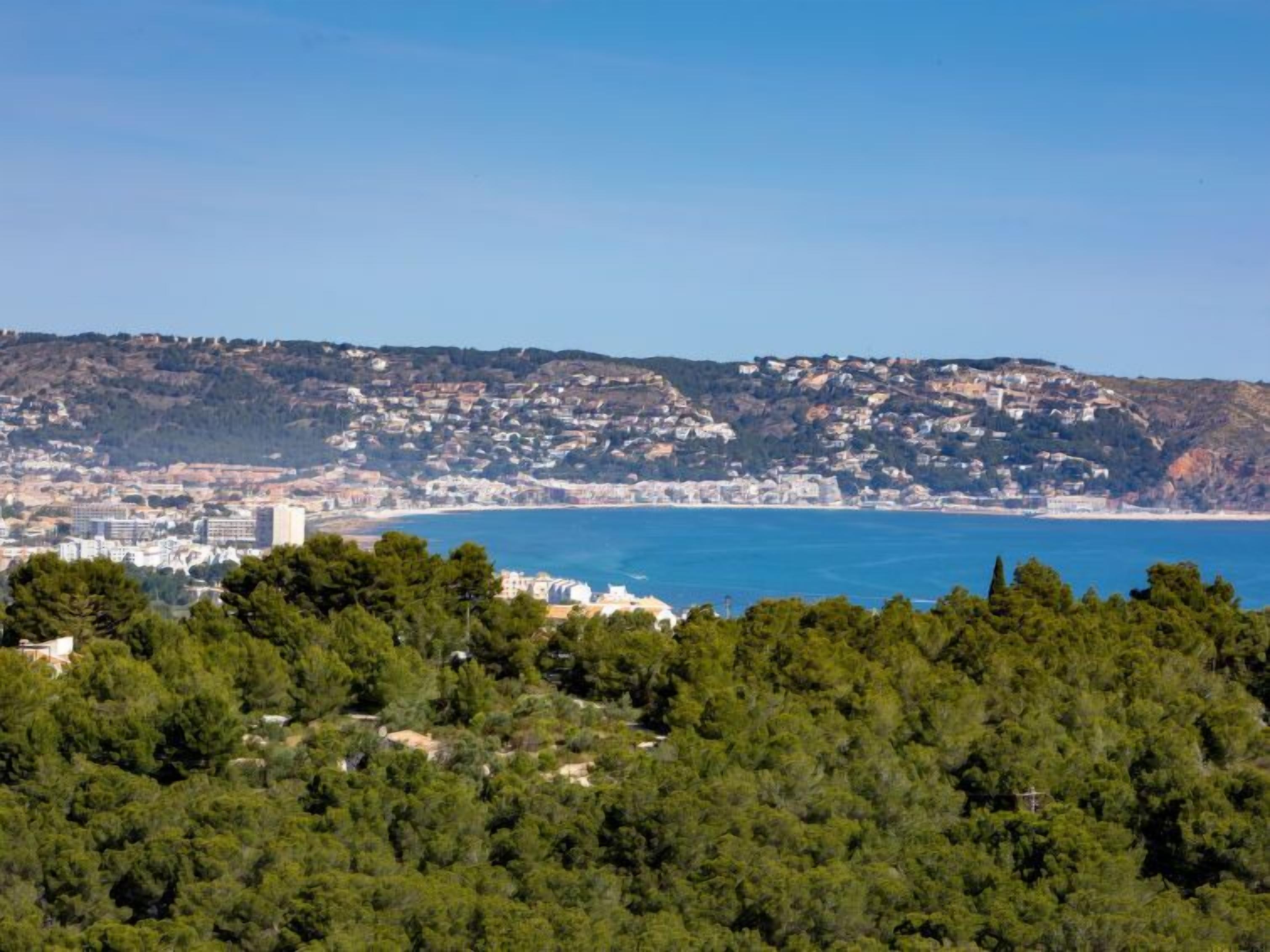 A coastal town with dense forest in the foreground, a clear blue sea, and a hilly backdrop with residential buildings.