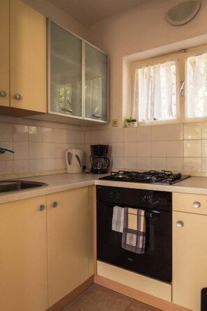 Fridge, oven, cookware/dishes/utensils