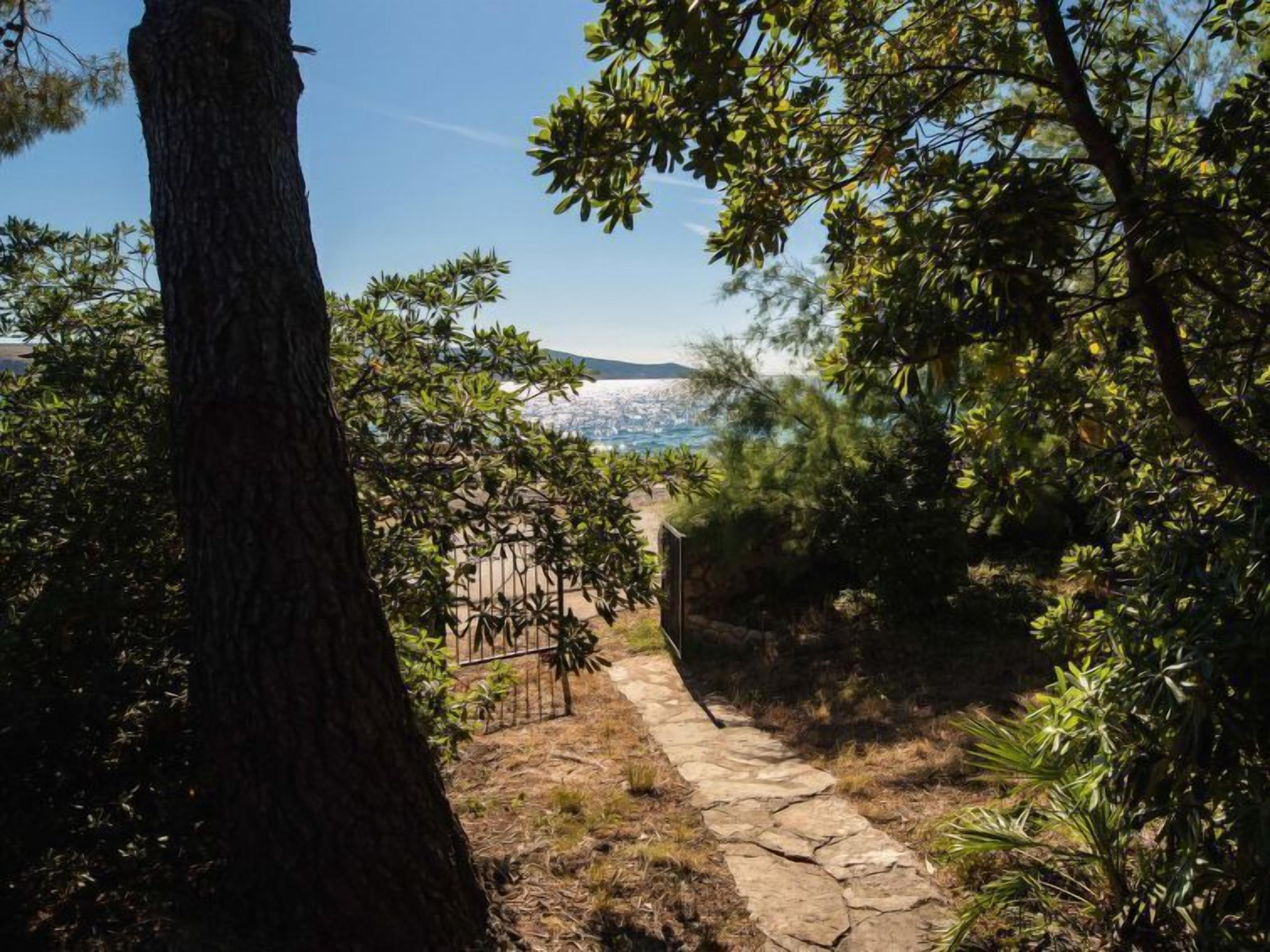 A stone pathway leading to a coastal view with trees and a metal fence.