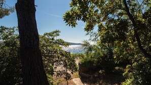 A stone pathway leading to a coastal view with trees and a metal fence. - Vacation home Dada by Interhome (Rovanjska)
