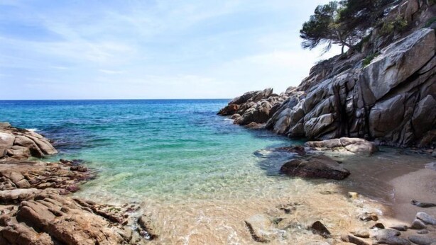 A rocky beach with clear water and a cliff. - Amsterdam by Interhome (St Antoni de Calonge)
