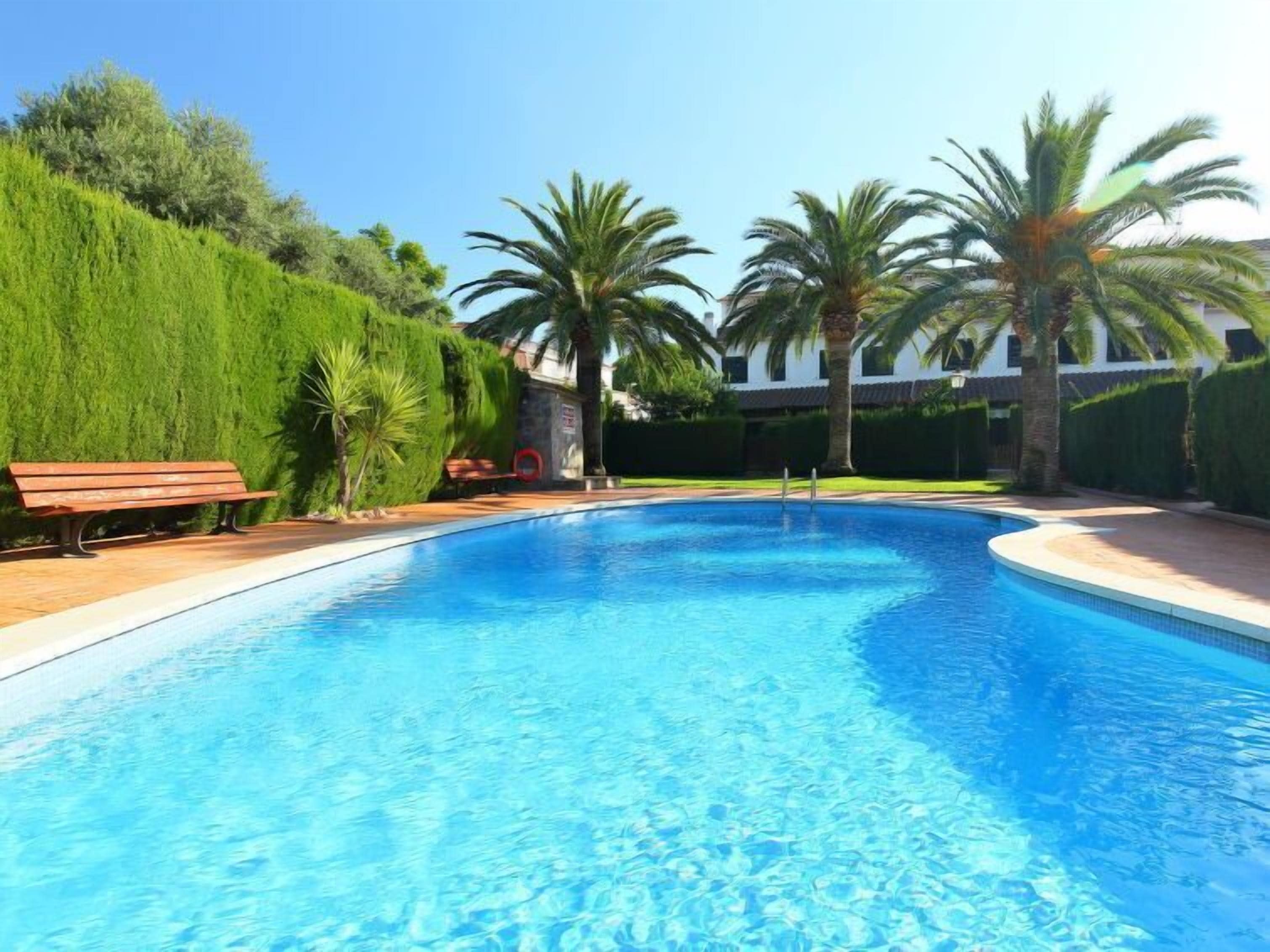 A swimming pool with a wooden bench and palm trees.