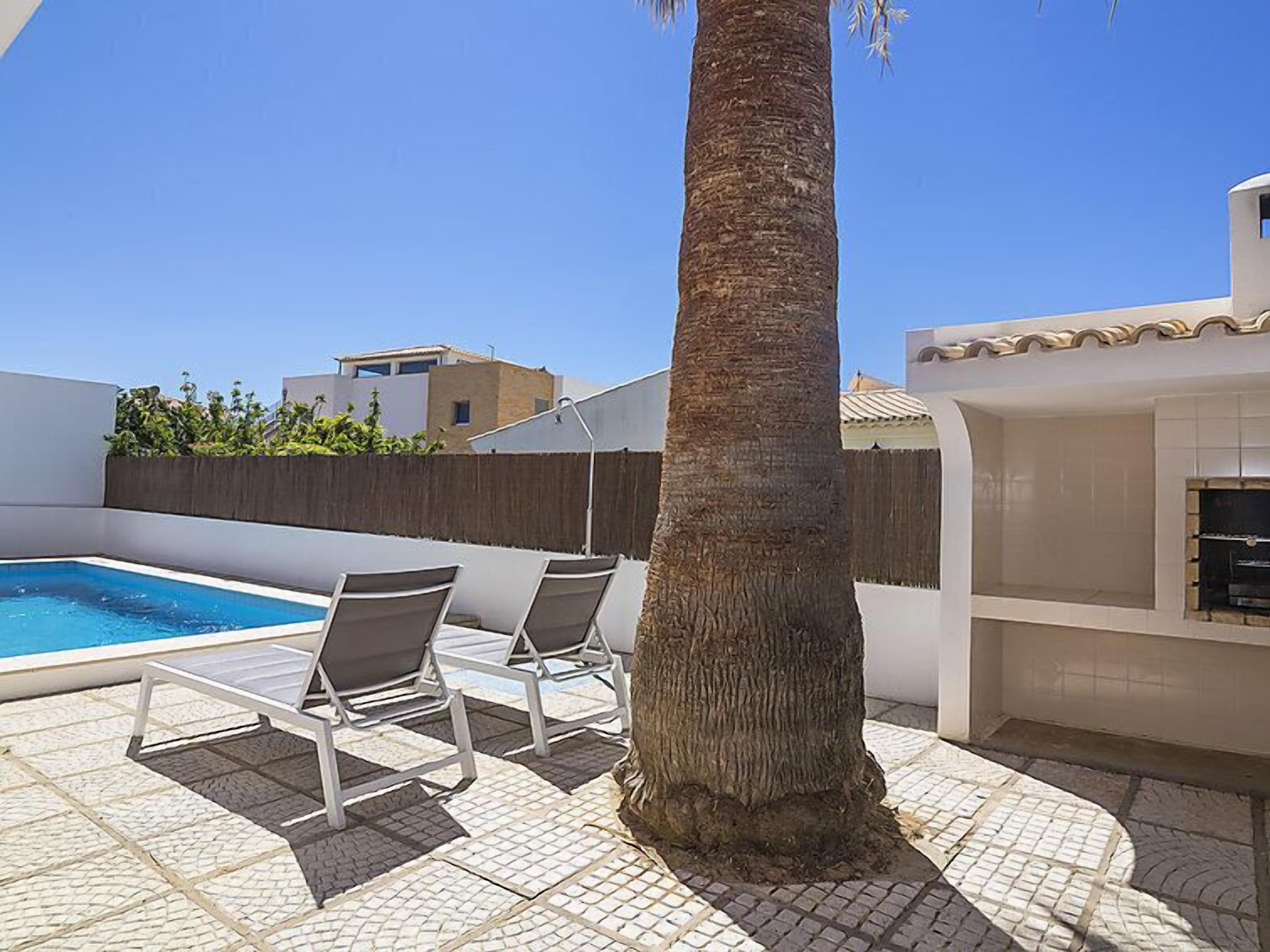 A pool area with lounge chairs, a palm tree, and a tiled patio.
