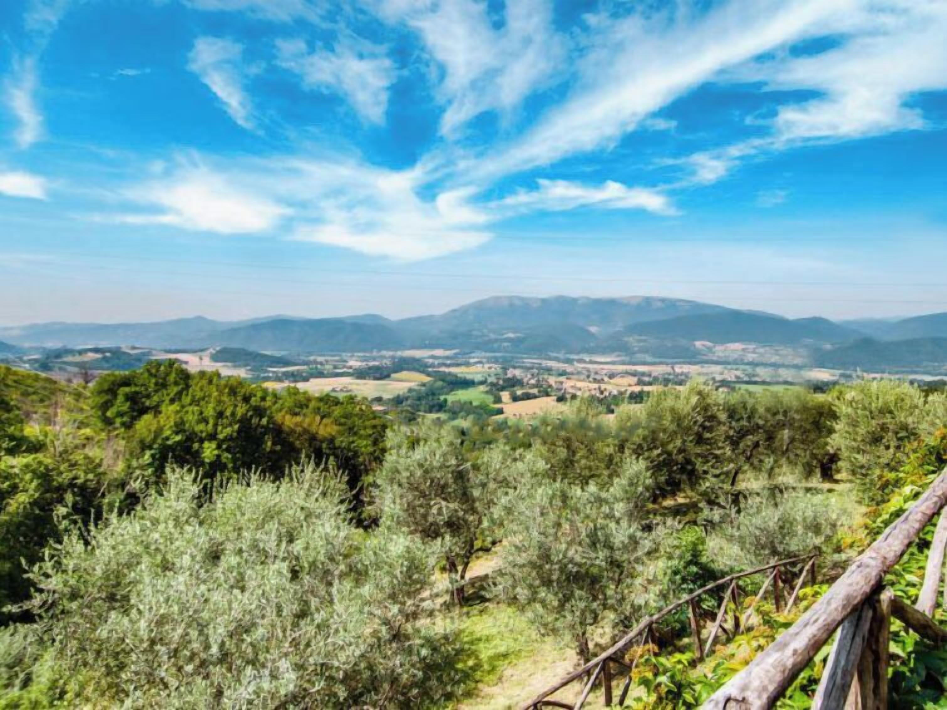 A scenic landscape with a clear sky, rolling hills, and a vineyard.