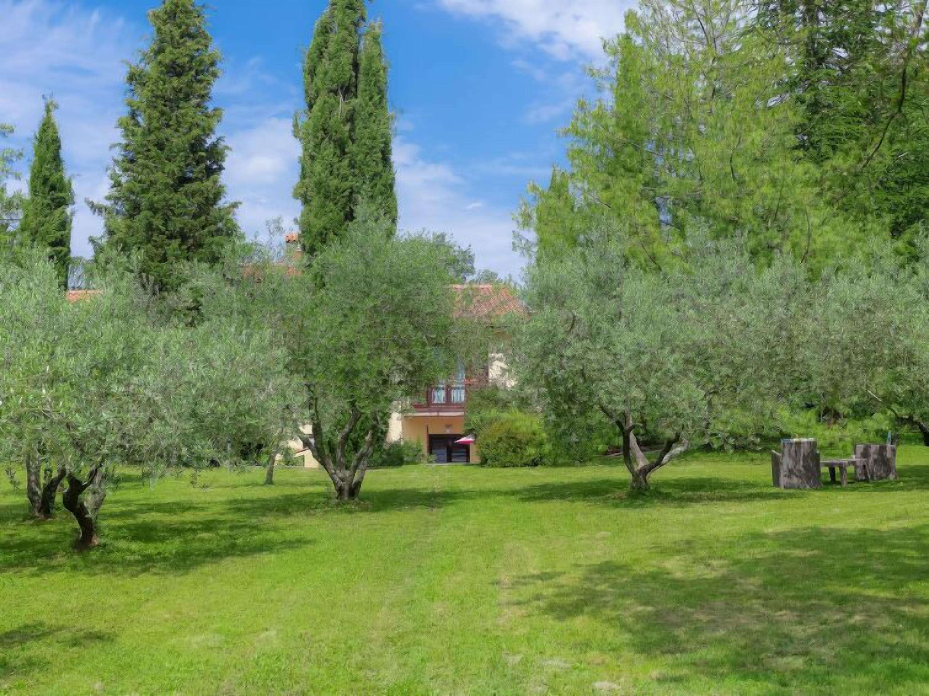 A grassy area with several trees and a building in the background.