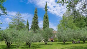 A lush green landscape with tall cypress trees and a building in the background. - Apartment Mariza by Interhome (Labin)