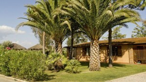 A house with a thatched roof, surrounded by palm trees and a well-maintained lawn. - Le Capanne I by Interhome (Grosseto)