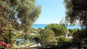 A view of a coastal area with trees and a clear sky.