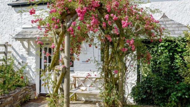 Ein weißes Gebäude mit einer Hollaube, die mit rosa Blüten bedeckt ist.