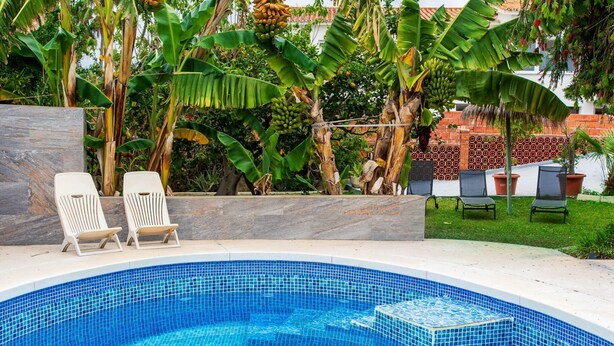 A swimming pool with tiled blue edges, surrounded by a stone wall and lush greenery, including banana trees and potted plants. - Delfines by Interhome (Benajarafe)