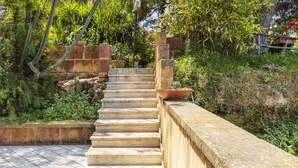 Una escalera de piedra conduce a un jardín con diversas plantas y un pájaro posado en una rama.