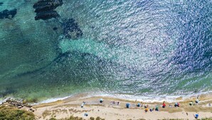 Vista aérea de una playa con aguas turquesas cristalinas, orilla arenosa y densa vegetación verde en primer plano.
