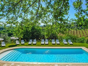 Piscina con sillas de descanso y sombrillas, rodeada de exuberante vegetación y viñedos.