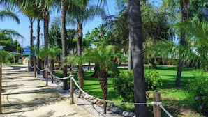 A pathway lined with palm trees and a grassy area with a playground.